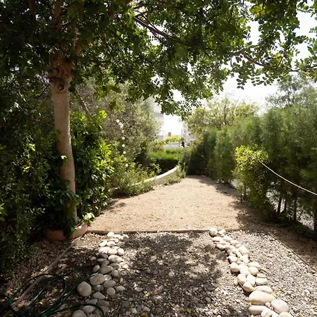 Casa Elisa With Terrace & Garden & Big Pool Area * Pafos